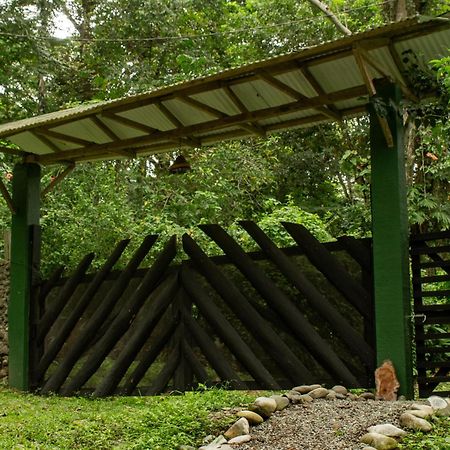 Smile Jungle Hostel Puerto Viejo de Talamanca 외부 사진