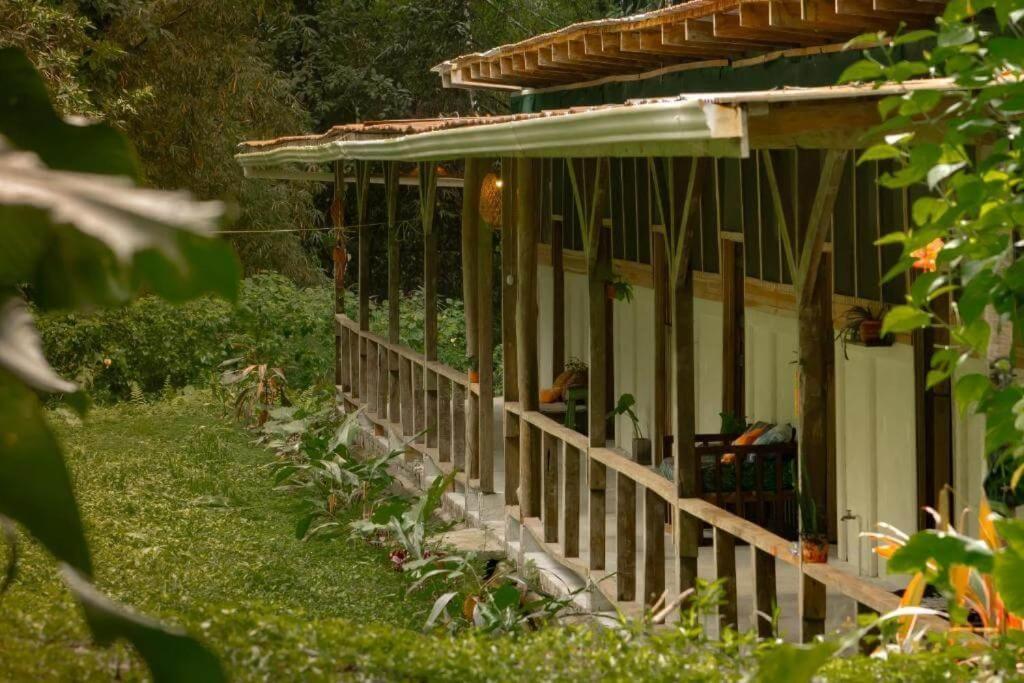 Smile Jungle Hostel Puerto Viejo de Talamanca 외부 사진